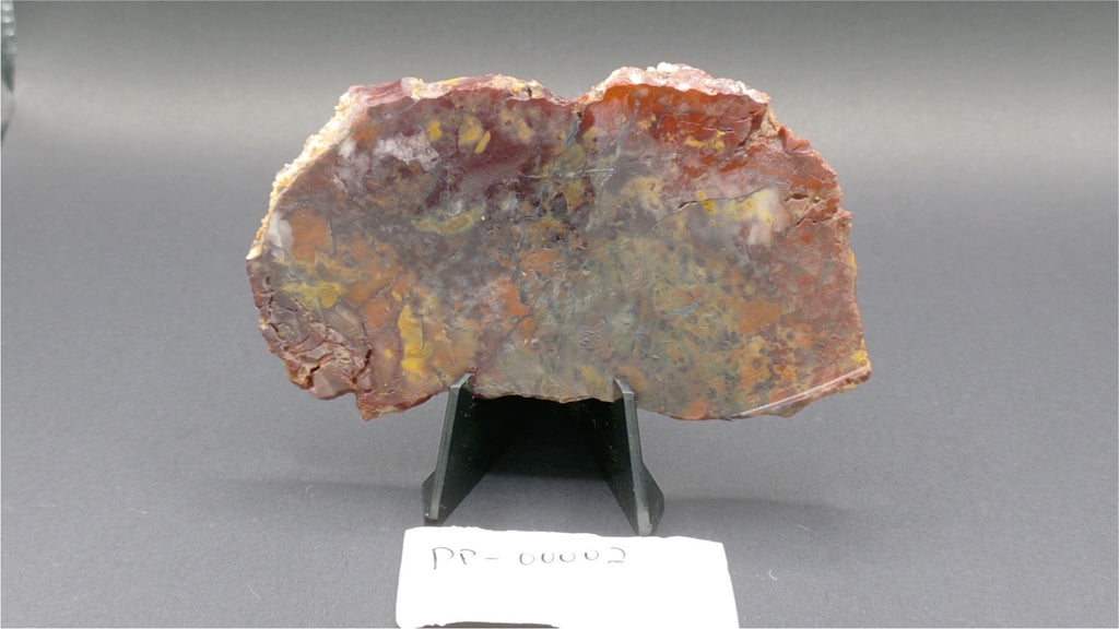 Haystack Butte Jellybean Jasper Slab 4x2.5" 5/16" Thick Oregon PP-00002