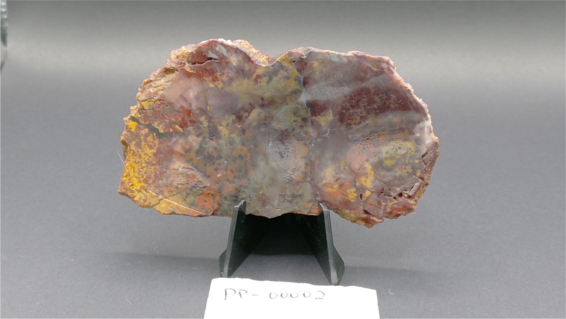Haystack Butte Jellybean Jasper Slab 4x2.5" 5/16" Thick Oregon PP-00002