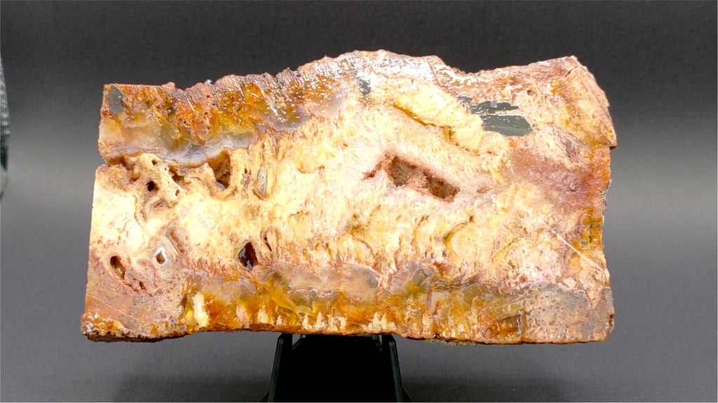 Graveyard Point Plume Agate Slab 5" x 3" x 3/8" - 7.675 oz (218 gram)  — PP-00004