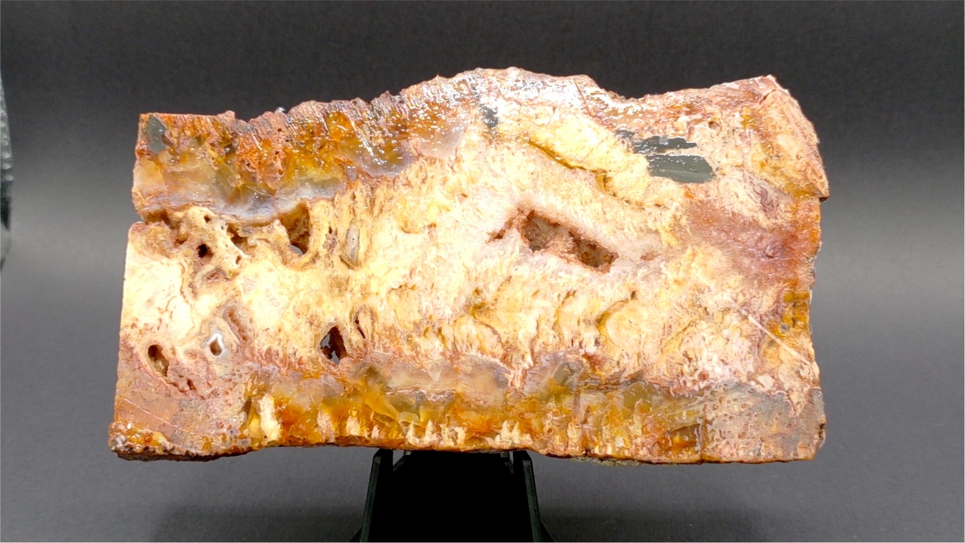Graveyard Point Plume Agate Slab 5" x 3" x 3/8" - 7.675 oz (218 gram)  — PP-00004