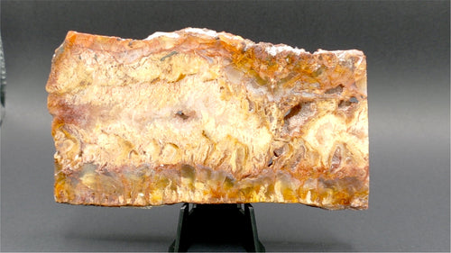 Graveyard Point Plume Agate Slab 5" x 3" x 3/8" - 7.675 oz (218 gram)  — PP-00004