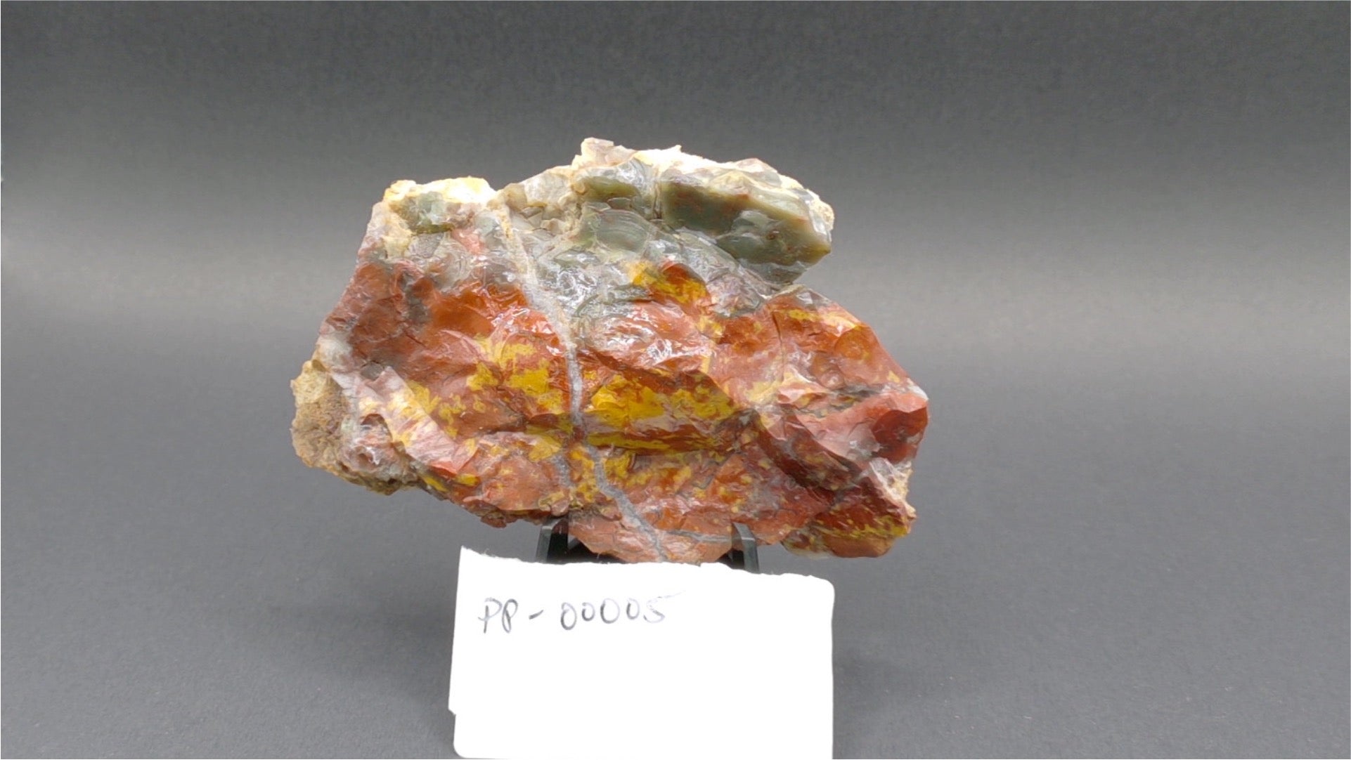 Haystack Butte Jellybean Jasper 2.25"x3.75"x~3/8" slab - PP-00005