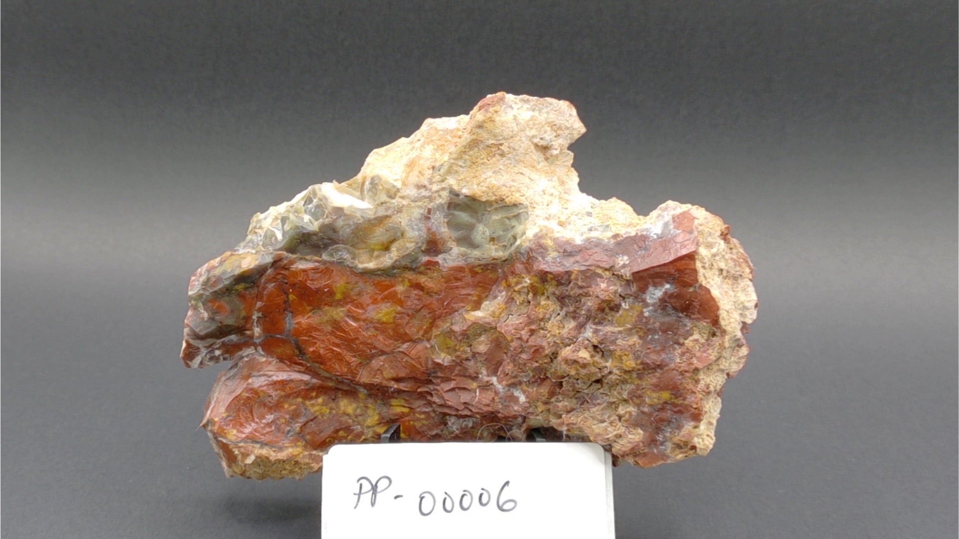 Haystack Butte Jellybean Jasper 4" x 2" x .25"+ Slab PP-00006