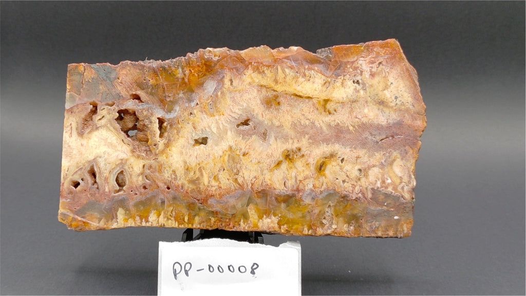 Graveyard Point Plume Agate Slab 5" x 2.25" x 3/8" - 8.666 oz  — PP-00008