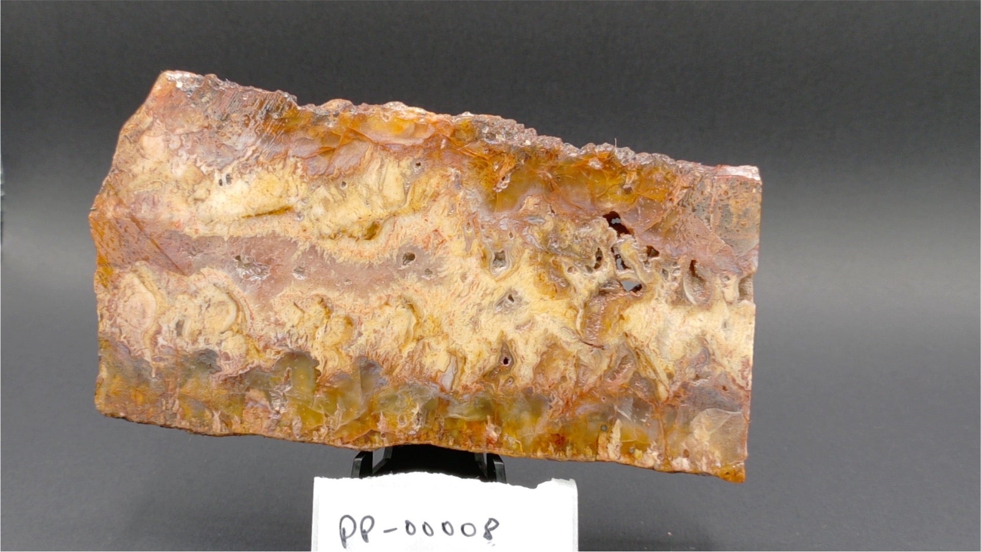 Graveyard Point Plume Agate Slab 5" x 2.25" x 3/8" - 8.666 oz  — PP-00008