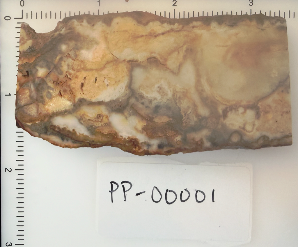Graveyard Point Chalcedony Slab 3.25x1.75" 3/8" Thick Owyhee Oregon PP-00001