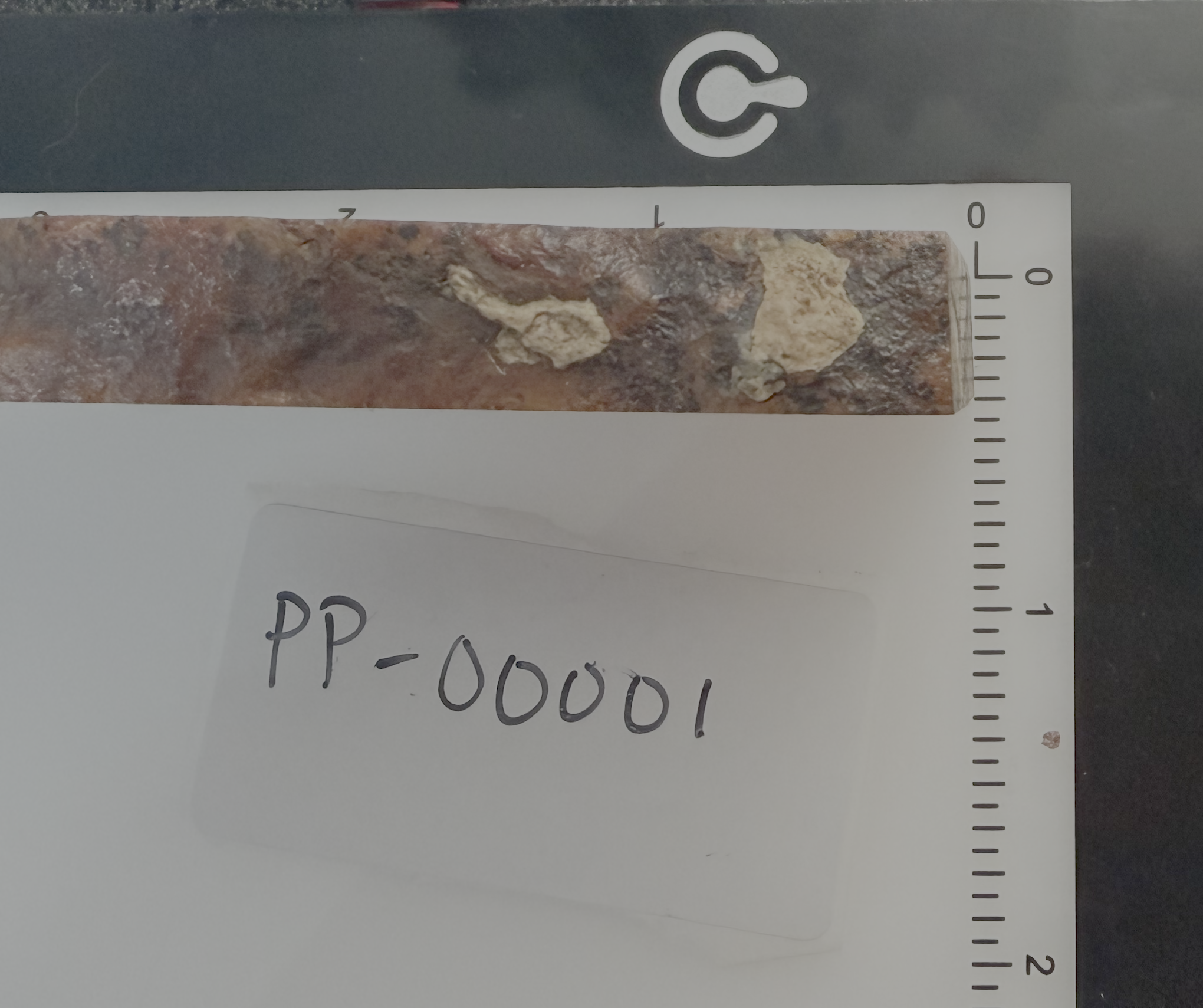 Graveyard Point Chalcedony Slab 3.25x1.75" 3/8" Thick Owyhee Oregon PP-00001