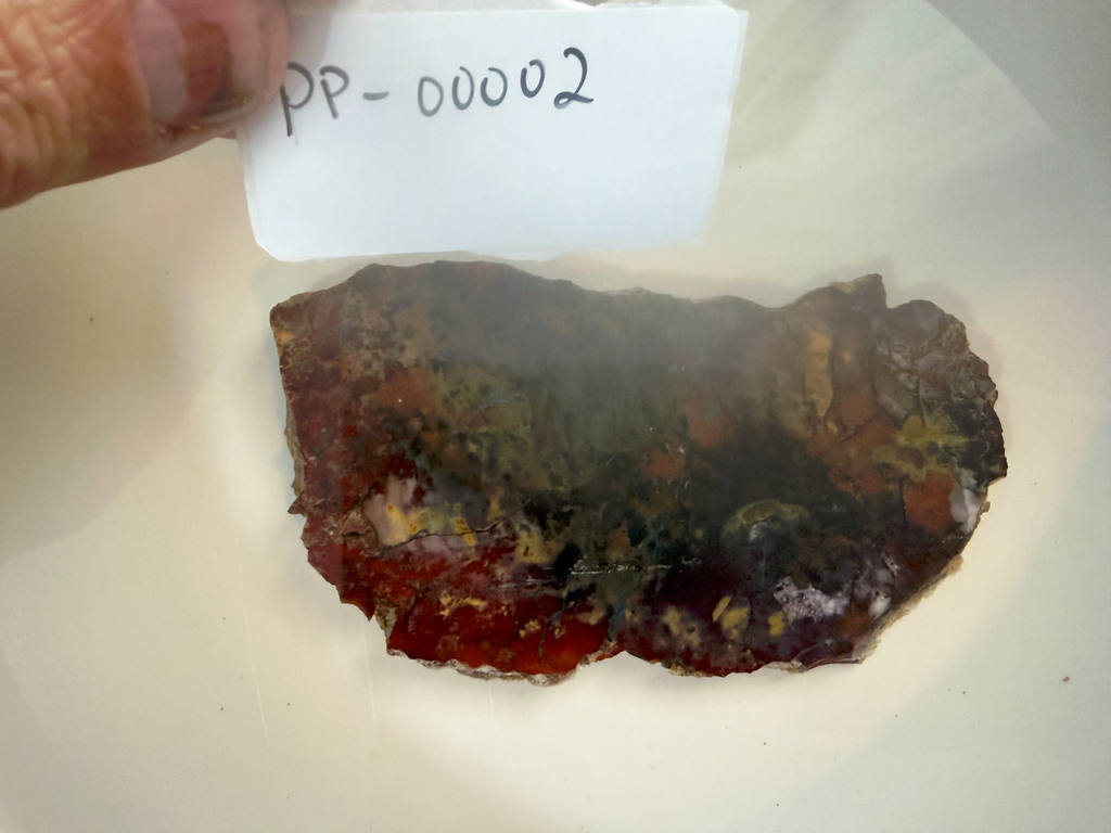 Haystack Butte Jellybean Jasper Slab 4x2.5" 5/16" Thick Oregon PP-00002