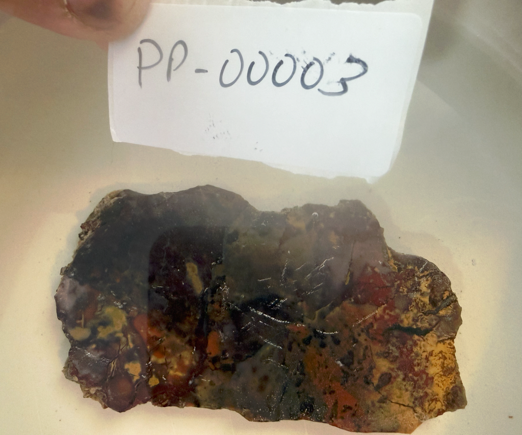 Haystack Butte Jellybean Jasper Slab 4x2" 1/4" Thick Oregon PP-00003