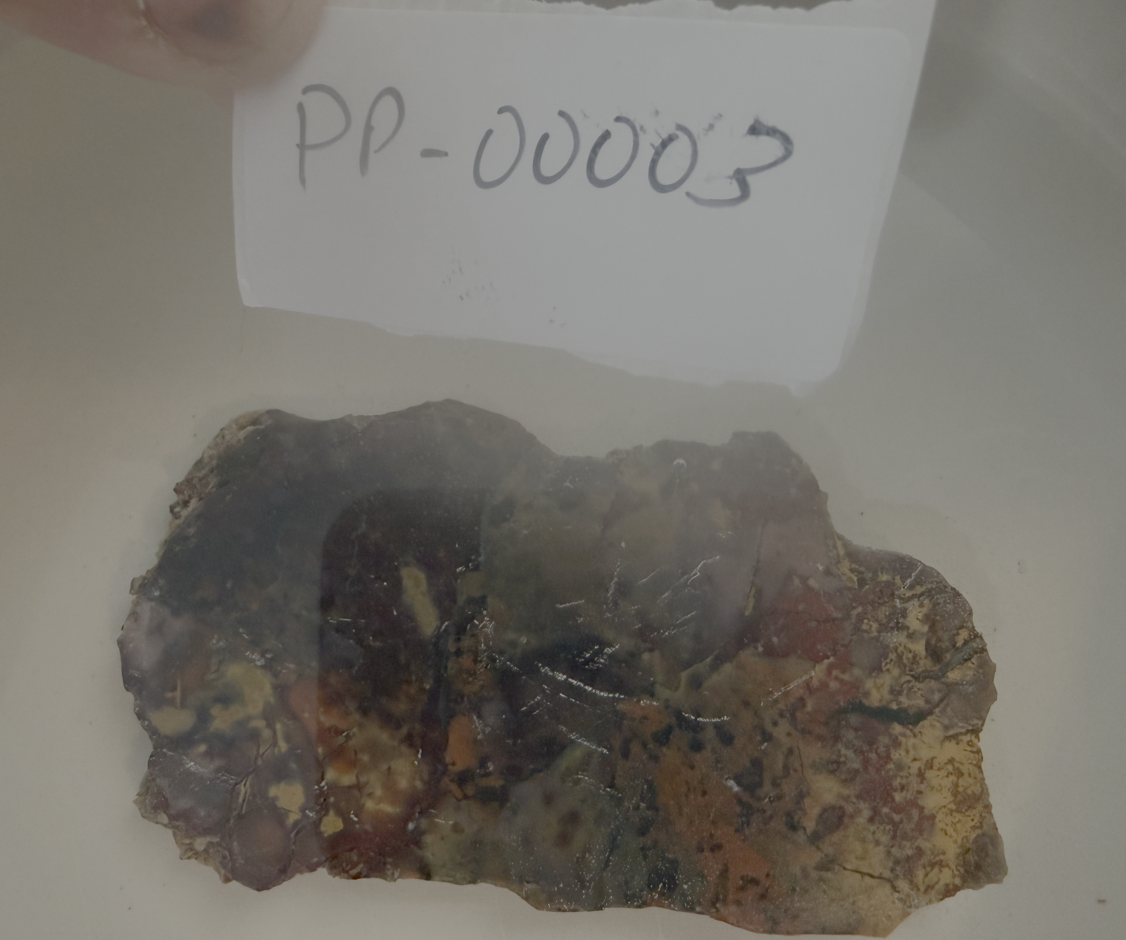 Haystack Butte Jellybean Jasper Slab 4x2" 1/4" Thick Oregon PP-00003