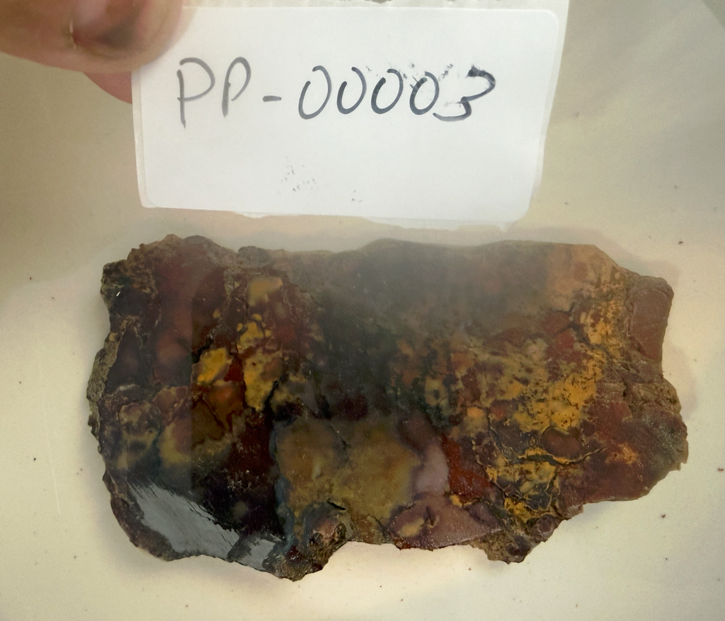 Haystack Butte Jellybean Jasper Slab 4x2" 1/4" Thick Oregon PP-00003