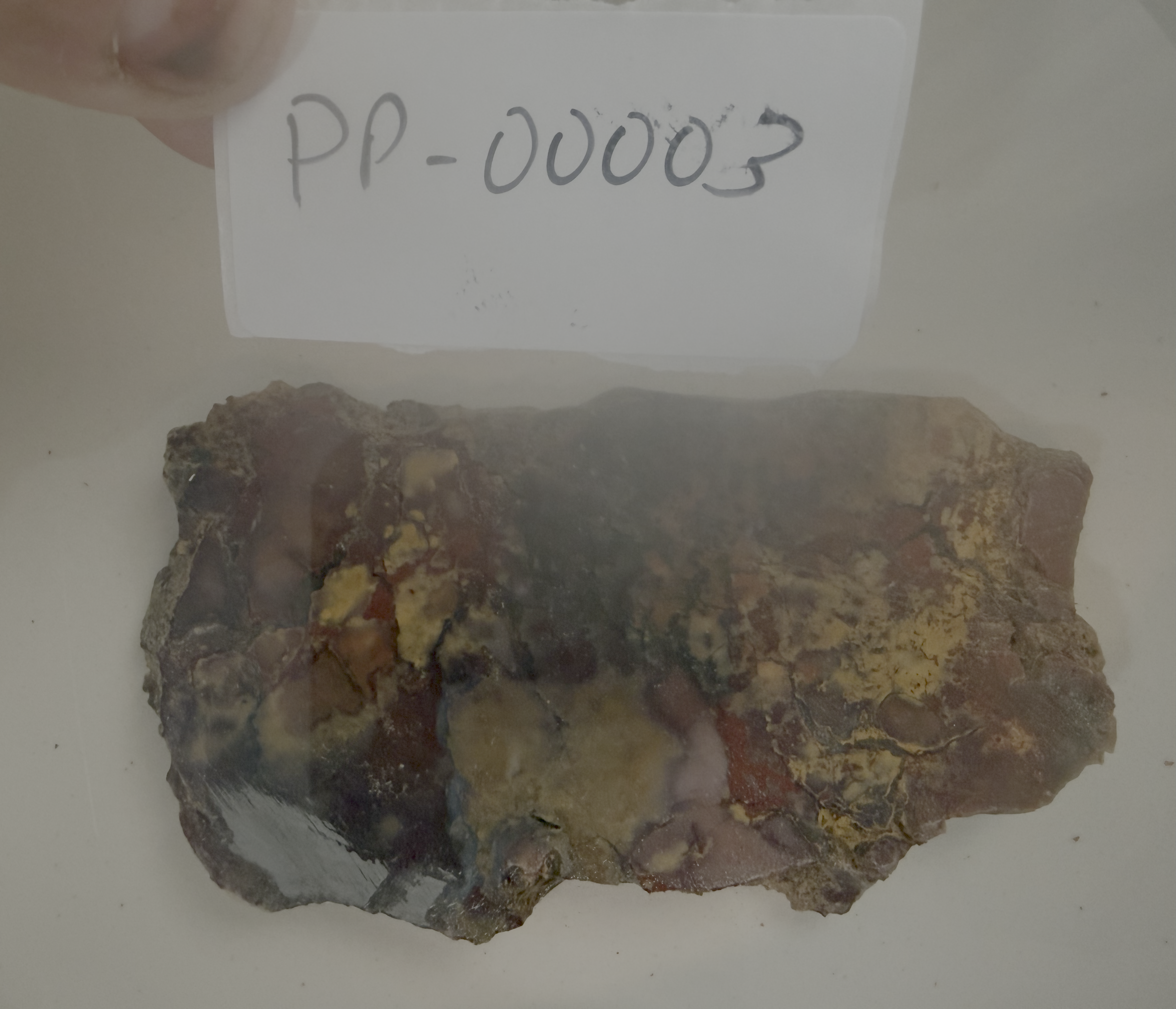 Haystack Butte Jellybean Jasper Slab 4x2" 1/4" Thick Oregon PP-00003
