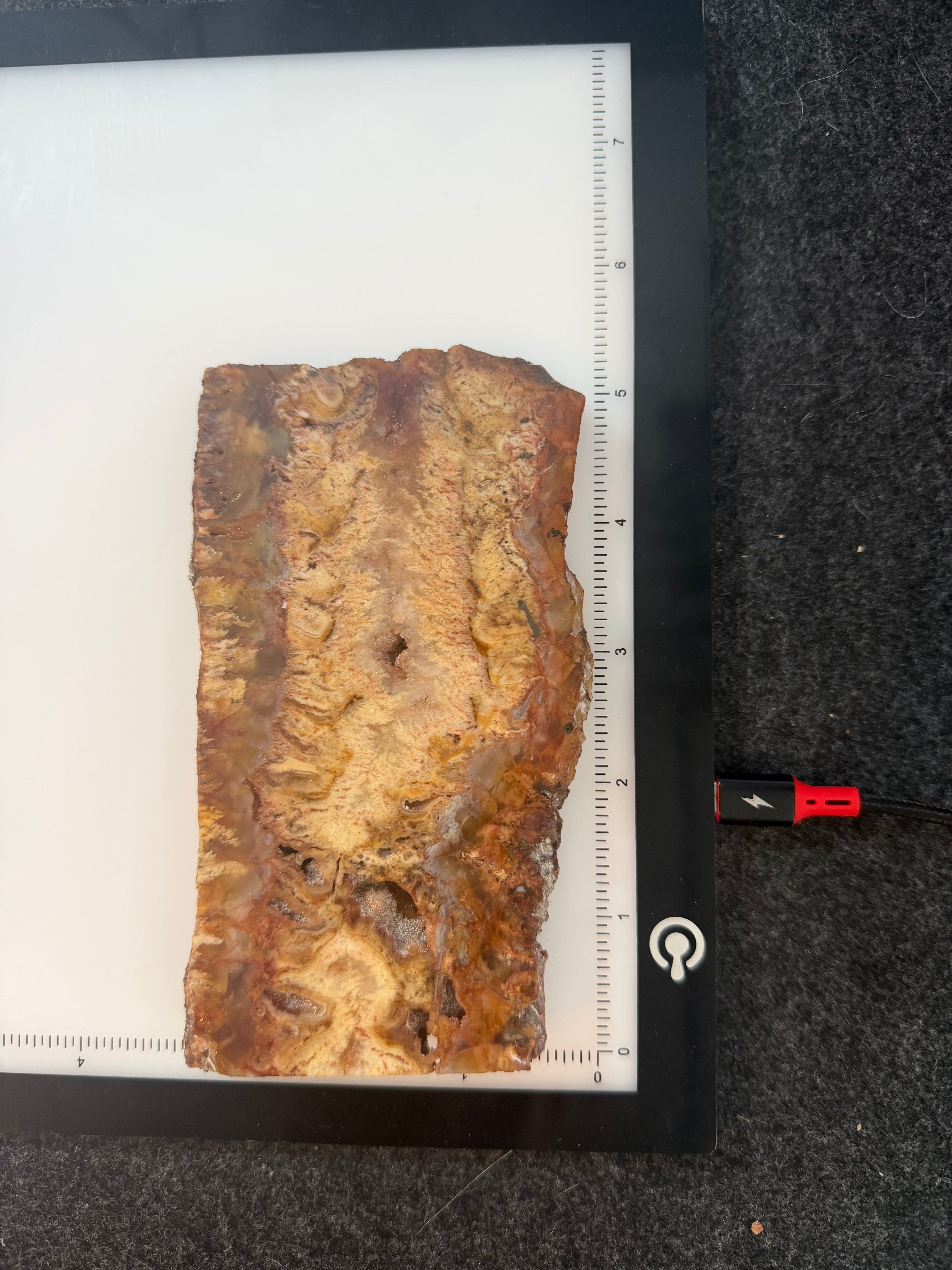 Graveyard Point Plume Agate Slab 5" x 3" x 3/8" - 7.675 oz (218 gram)  — PP-00004