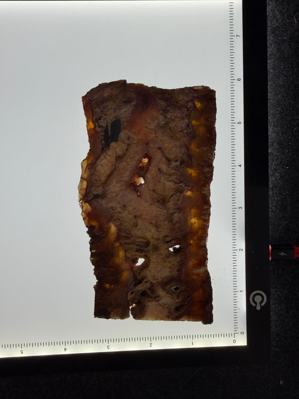 Graveyard Point Plume Agate Slab 5" x 3" x 3/8" - 7.675 oz (218 gram)  — PP-00004