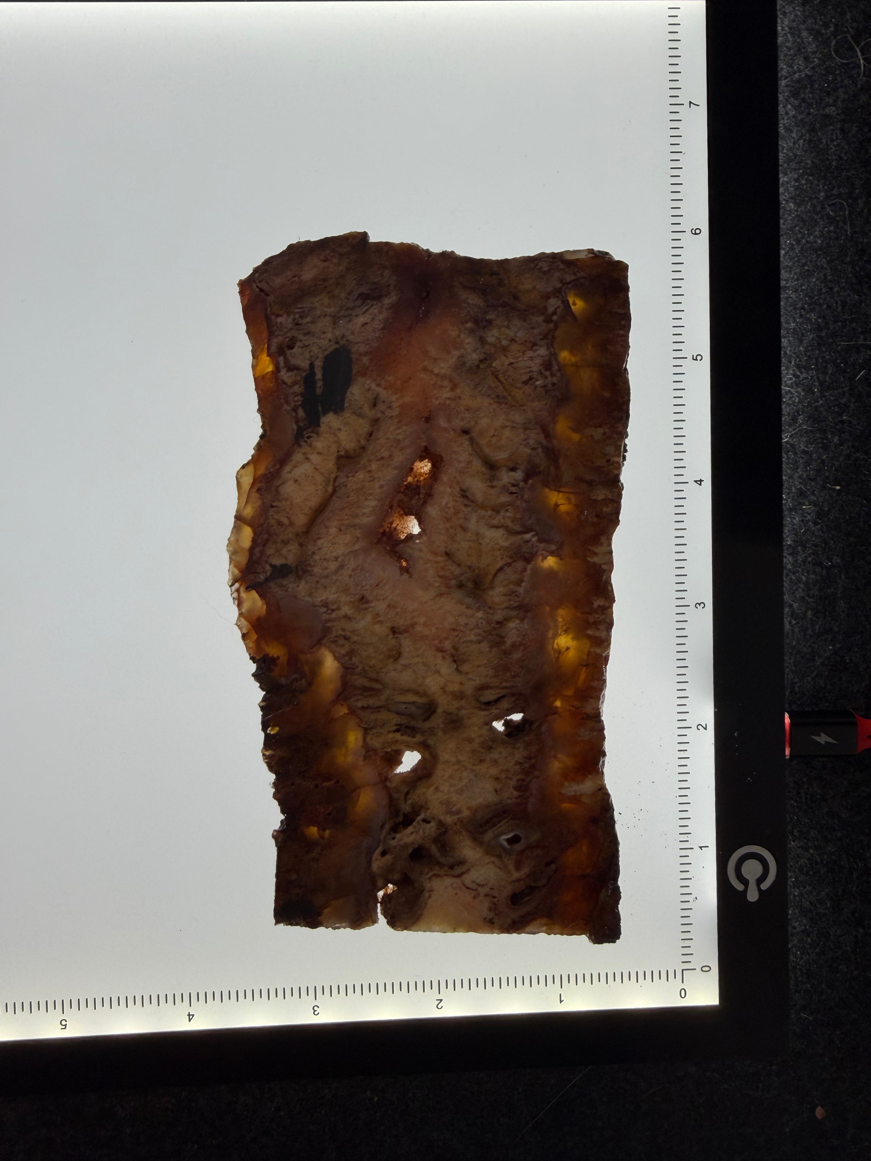 Graveyard Point Plume Agate Slab 5" x 3" x 3/8" - 7.675 oz (218 gram)  — PP-00004