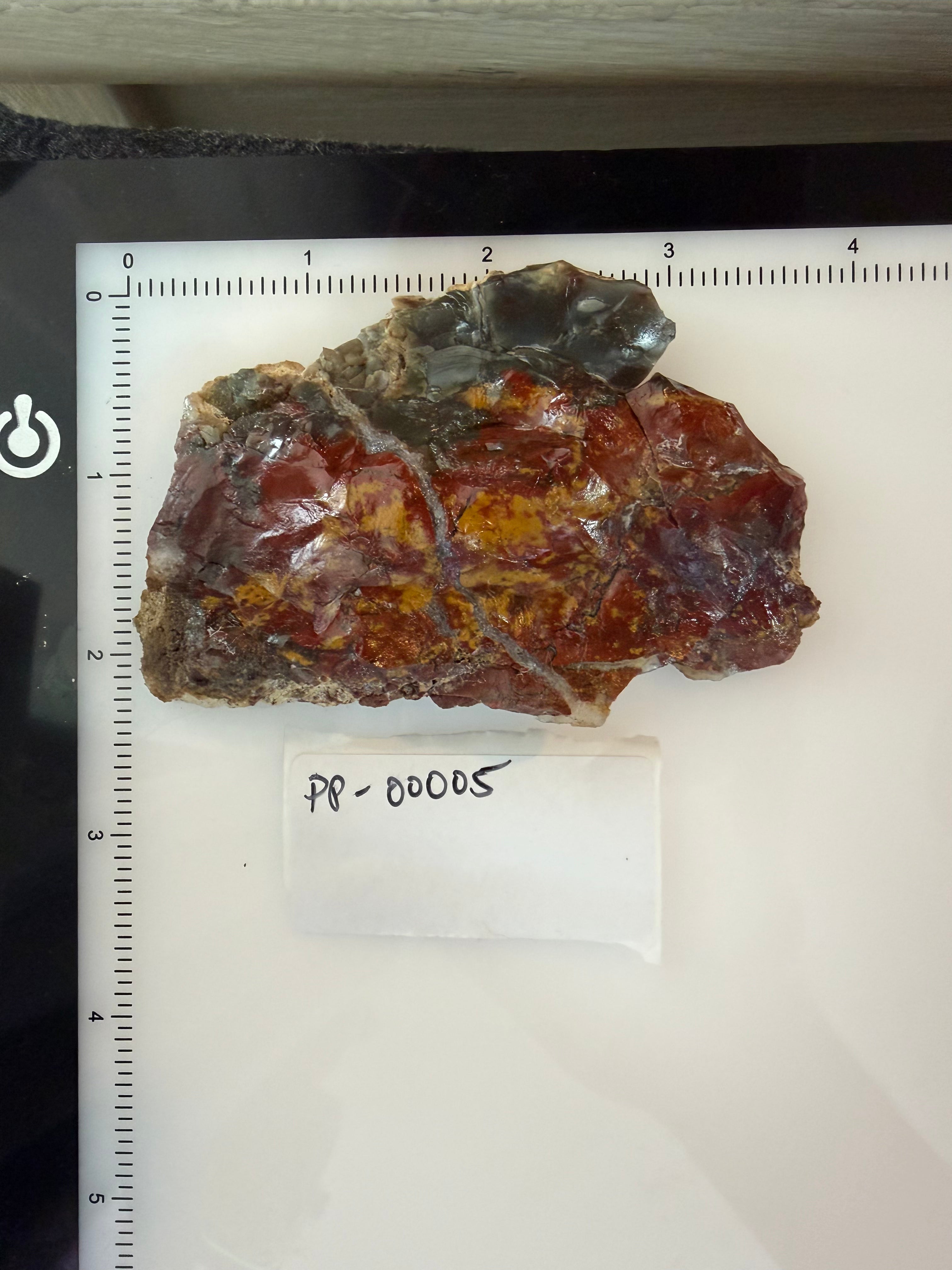 Haystack Butte Jellybean Jasper 2.25"x3.75"x~3/8" slab - PP-00005