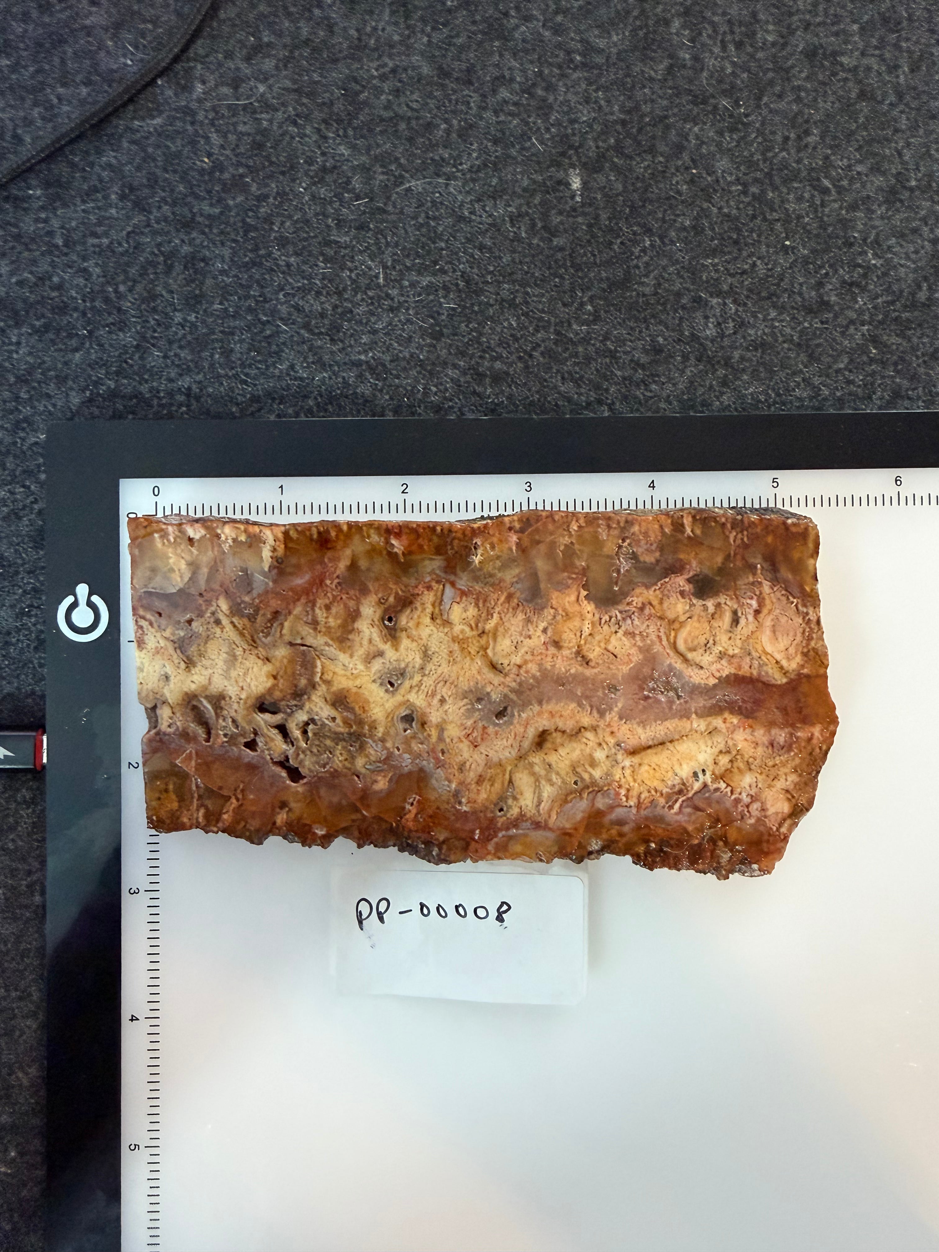 Graveyard Point Plume Agate Slab 5" x 2.25" x 3/8" - 8.666 oz  — PP-00008